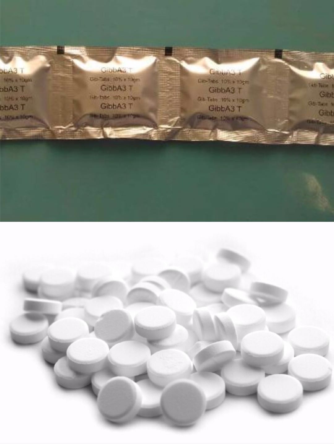 GA3
