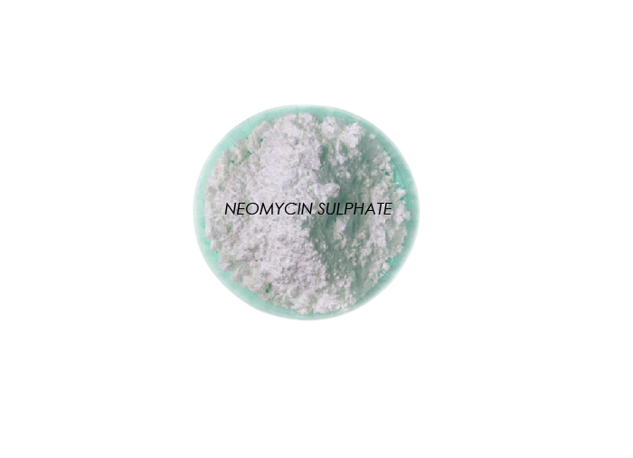 Neomycin-Sulphate
